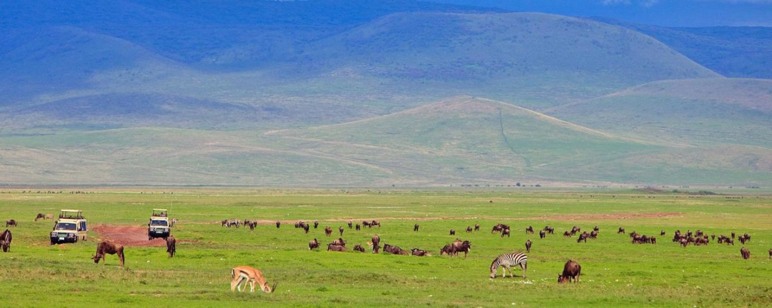 4 Days African Safari Adventure
