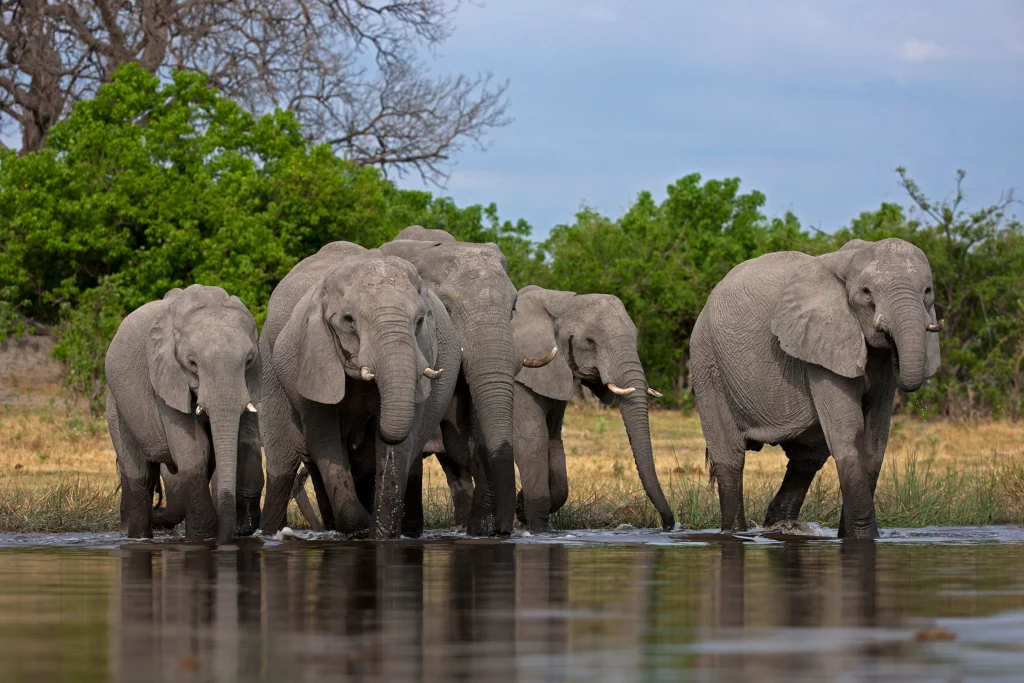 tanzania-holiday