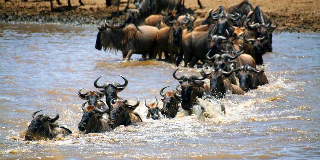 tanzania-holiday