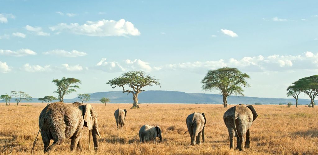 tanzania-holiday