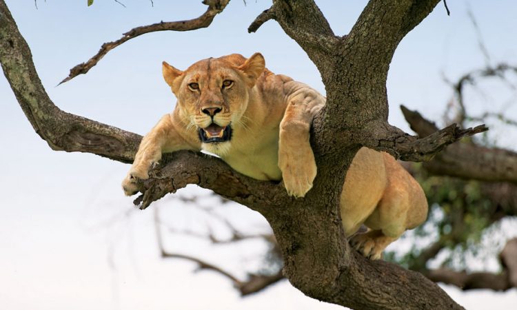 tanzania-holiday