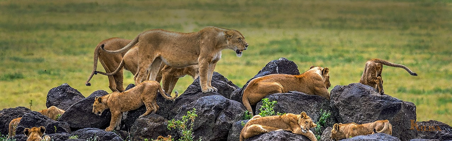Tanzania Visa & Immigrations