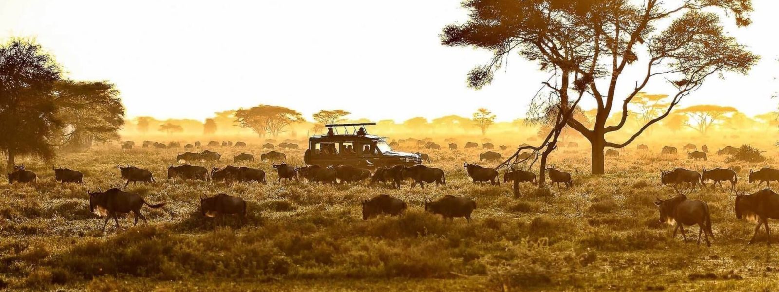 Health in Tanzania