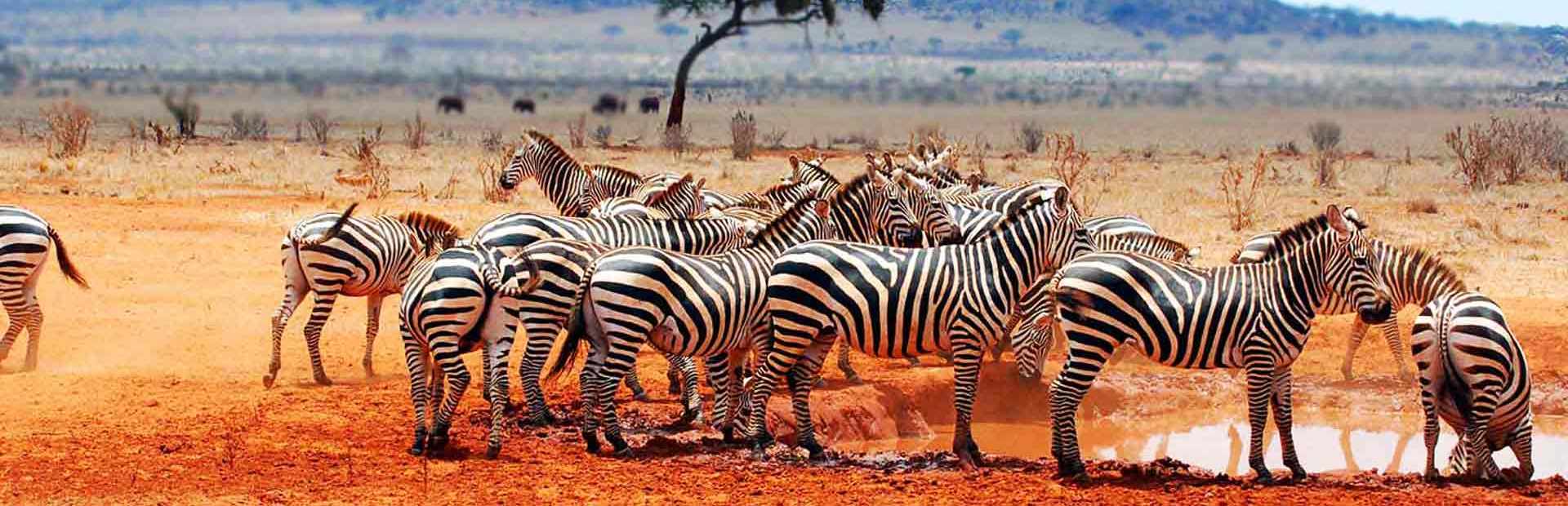 Tanzania Weather