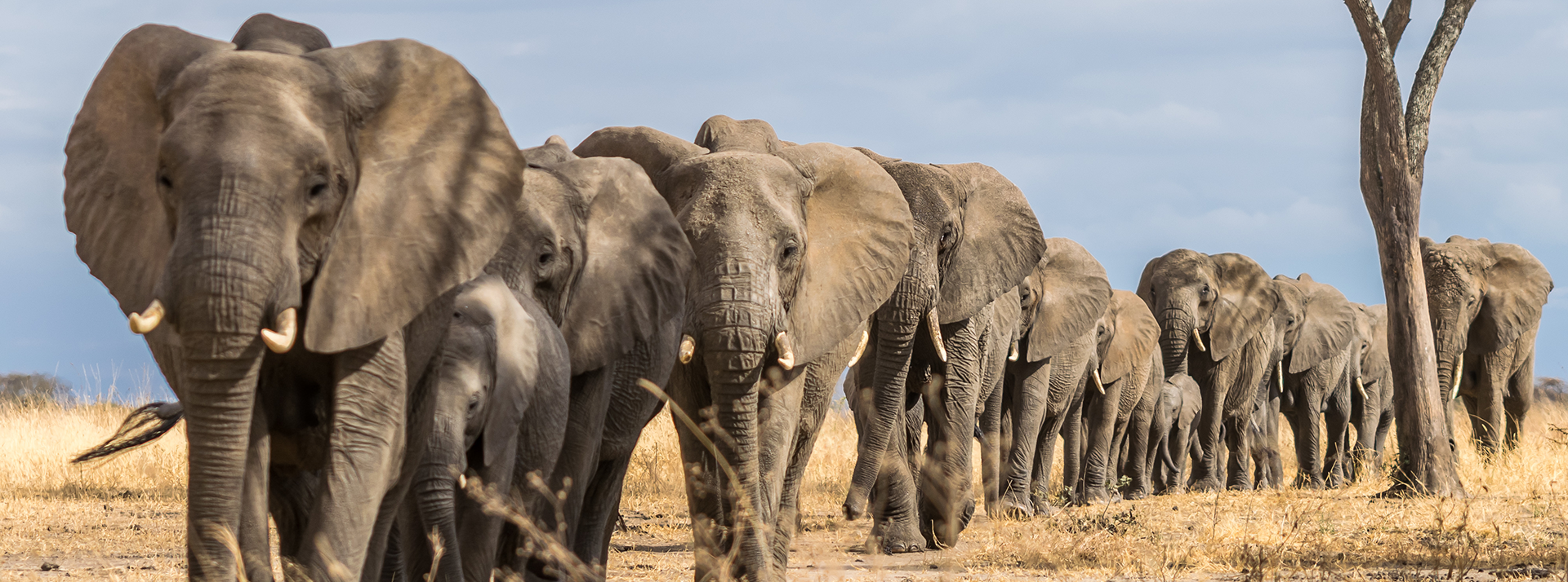 Best Time to Visit Tanzania