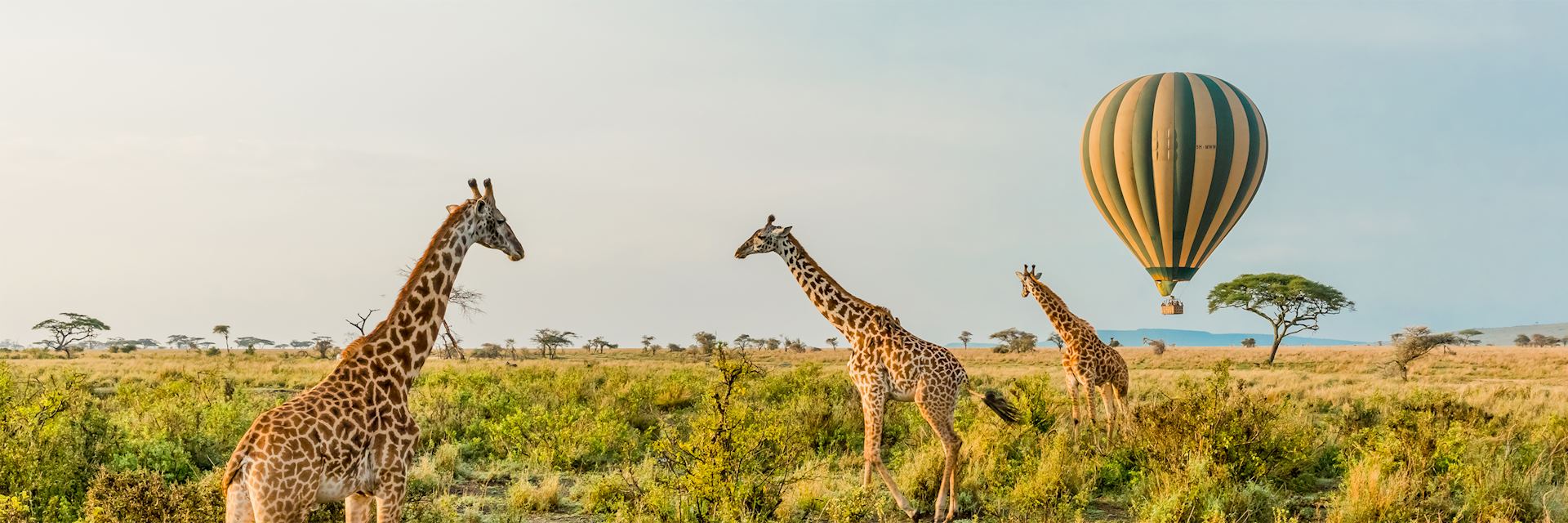 Best Things to do in Tanzania
