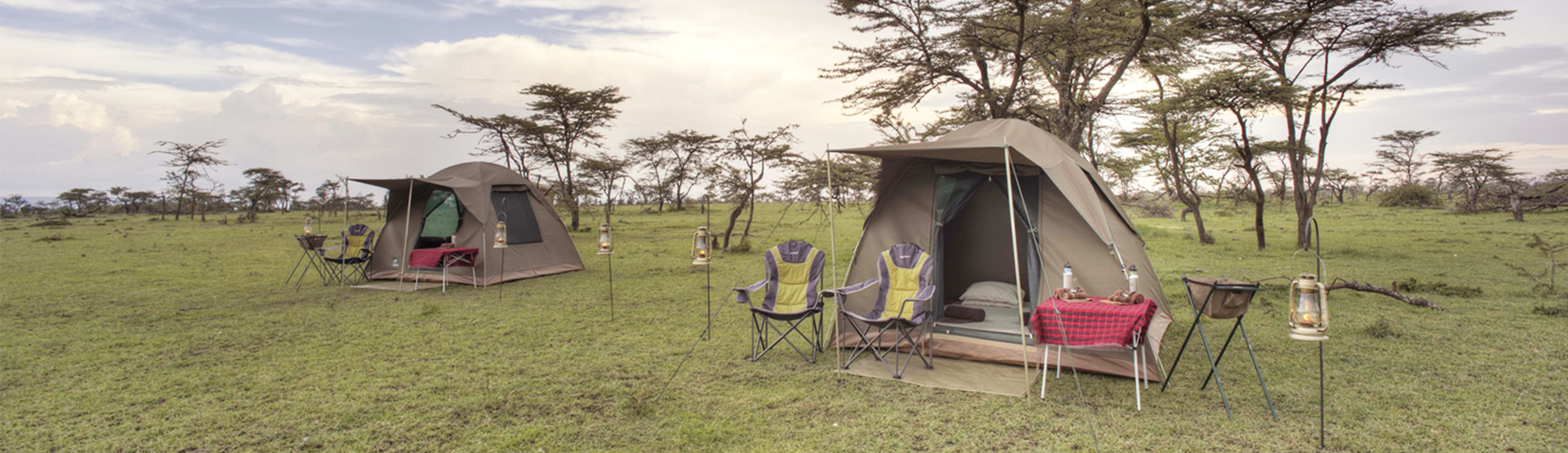 Join Safari Group