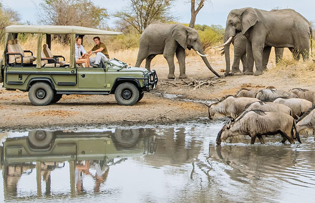 tanzania safari