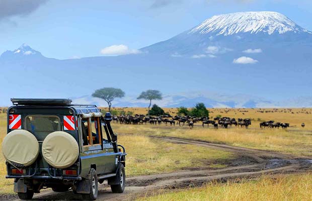 mount kilimanjaro